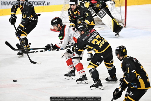 2025-02-08 Mastini Varese-Hockey Caldaro 2067 Michael Mazzacane